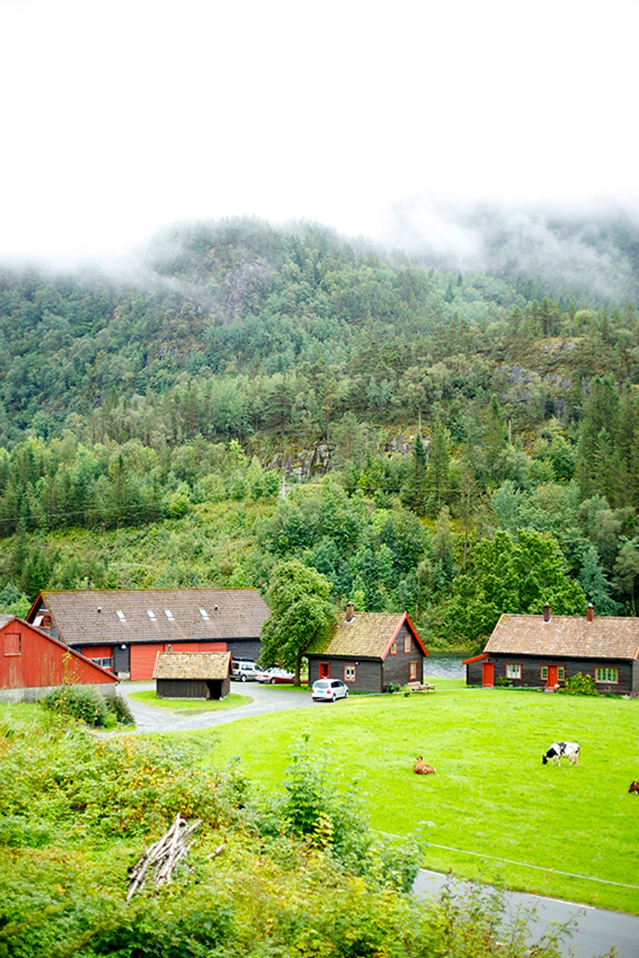 Cozy cabin interior at Mo Laks with fully equipped kitchen and warm wooden details