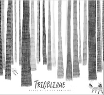 Danse Avec Les Renards album artwork by TriOblique