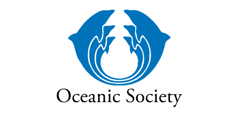 A professional logo design featuring two stylized dolphins in mirror symmetry, positioned facing each other and creating a circular composition. The dolphins