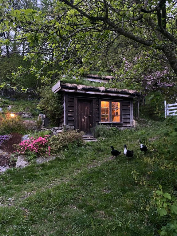 A rustic garden retreat nestled within a lush, overgrown landscape. The image captures a charming dark wooden cabin or shed with glowing warm-lit windows,